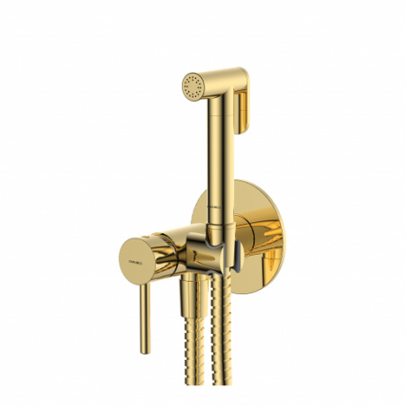Смеситель гигиенический OMNIRES Y, комплект, цвет золото - КонтурТерм